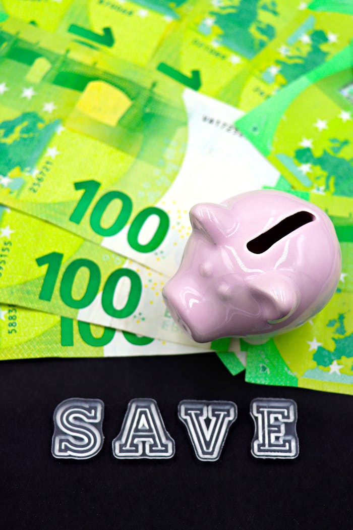 The Art of Drawing Readers In: Your attractive post title goes here Pink piggy bank on Euro banknotes with 'SAVE' text, symbolizing financial savings.